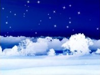 Stars on a Snowy Night