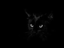 The Black Cat è by Edgar Allan Poe