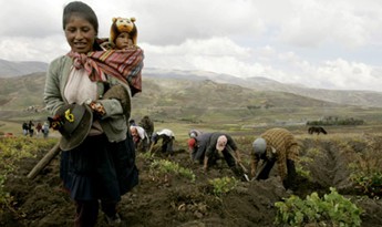 Peru`s Mountain People Face Fight for Survival in a Bitter Winter