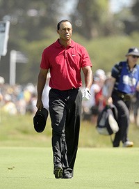 Tiger Woods Economic Impact
