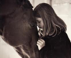  The Horse Whisperer