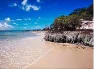 Brazilian beaches ̲