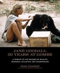 Ϊ䡤ŵ Being Jane Goodall: Fifty Years at Gombe