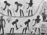 三千年前的“面子工程” Face Job in Ancient Egypt